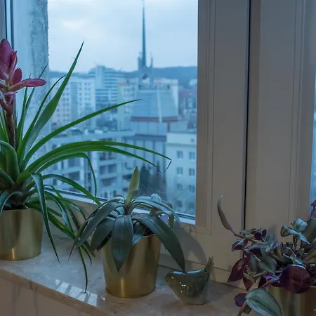 Апартаменты Apartament Widokowka Гдыня